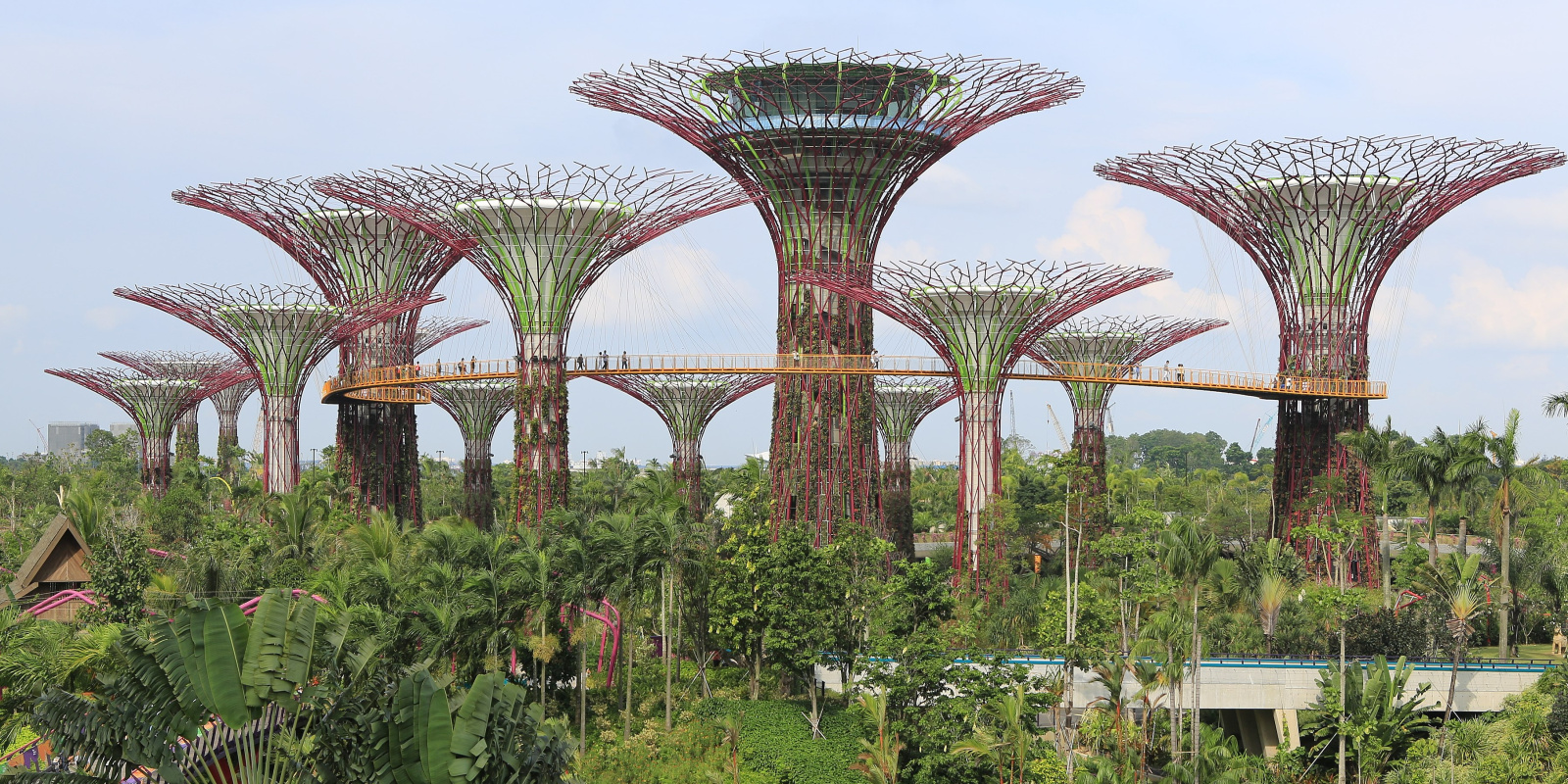 Panorama of the artificial supertrees in Singapore, huge constructions with reverse umbrella-shaped tops formed of twigs
