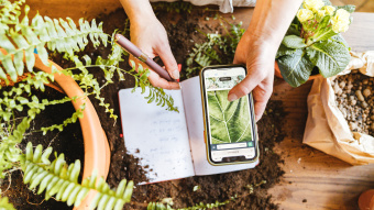 Hands holding a smartphone and a book over a table top with plants and earth
