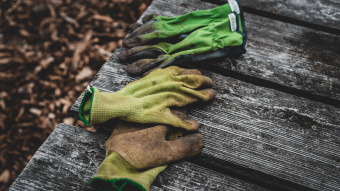 Four dirty working gloves on a weather-beaten wooden table